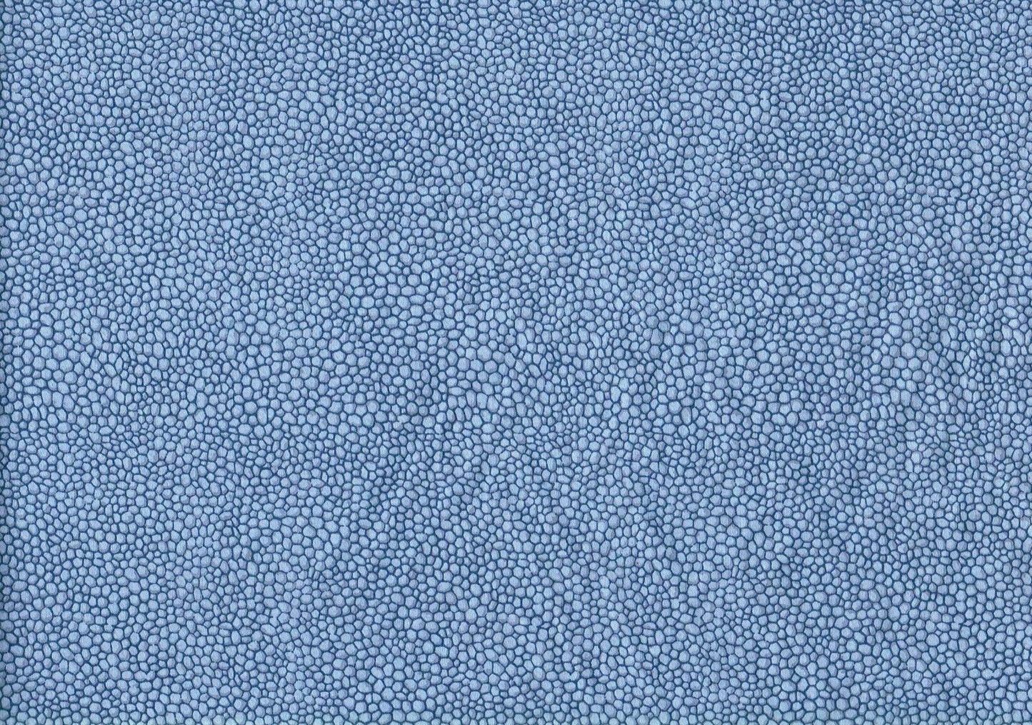 Waverly Fabric Hideout Blue Cotton Drapery Upholstery