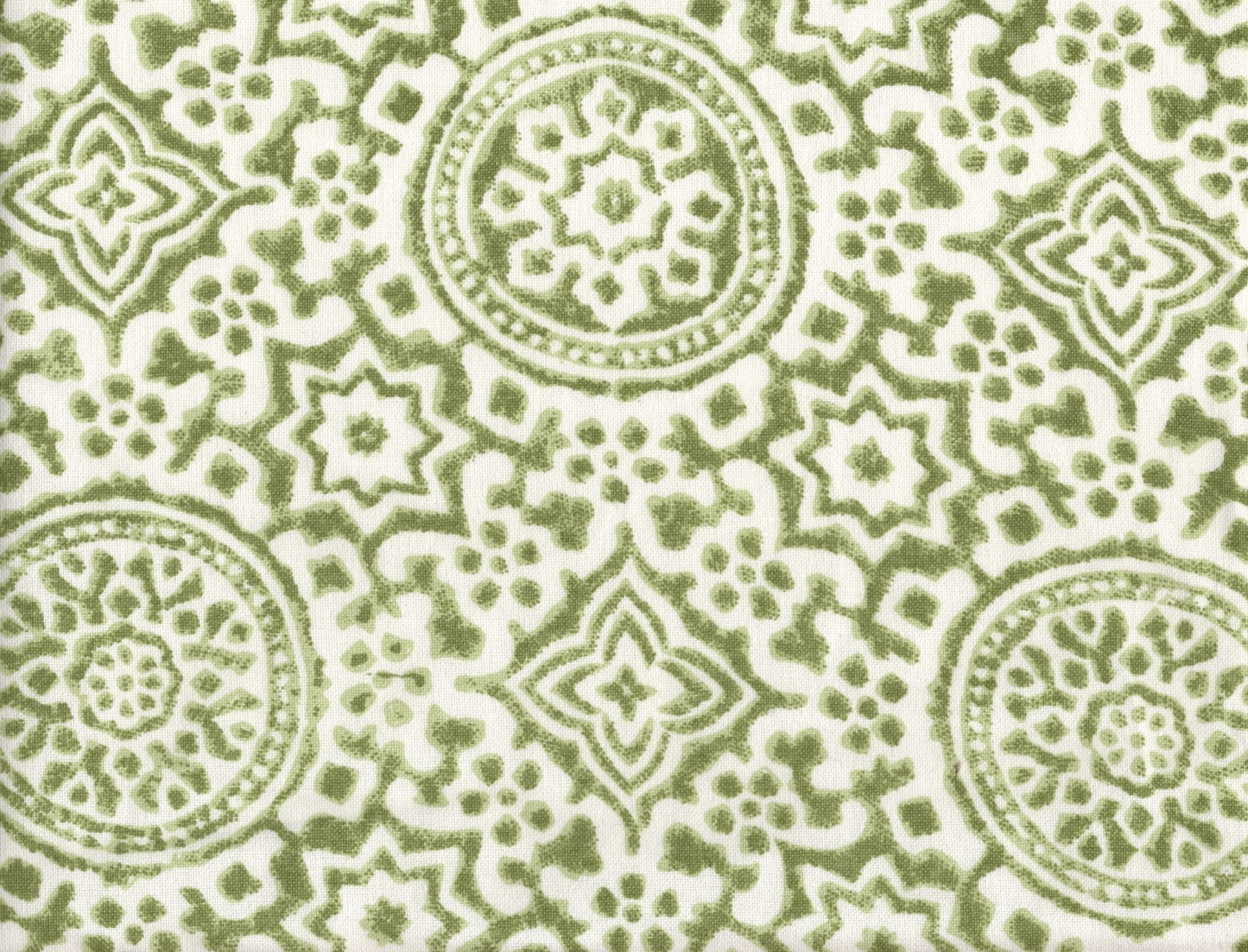 Stout Nipomo 1 Fern Cotton Drapery Upholstery