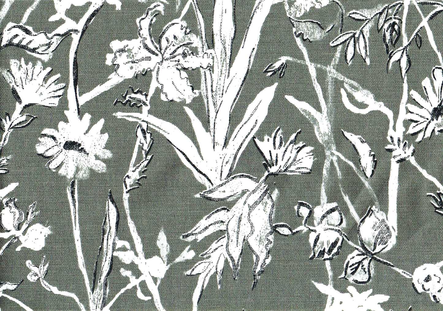 Lacefield Fabric Garden Party Ink Cotton Blend Drapery Upholstery