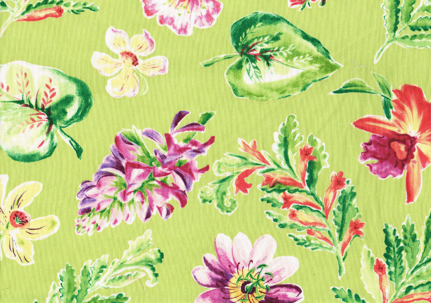 Mill Creek Fabric Raymond Waites Lime Pink Floral Drapery Upholstery