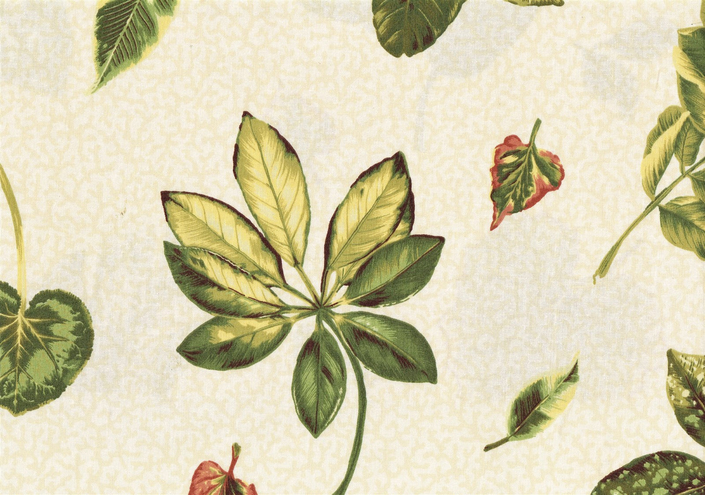 Concord Fabrics Keanu Beige Green Rust Gold Cotton  Drapery Upholstery 