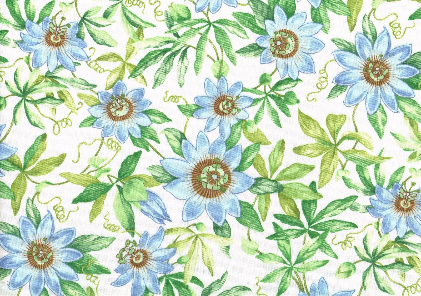 Robert Allen Fabric Passion Floral Pacific Outdoor Daisies  Drapery Upholstery 