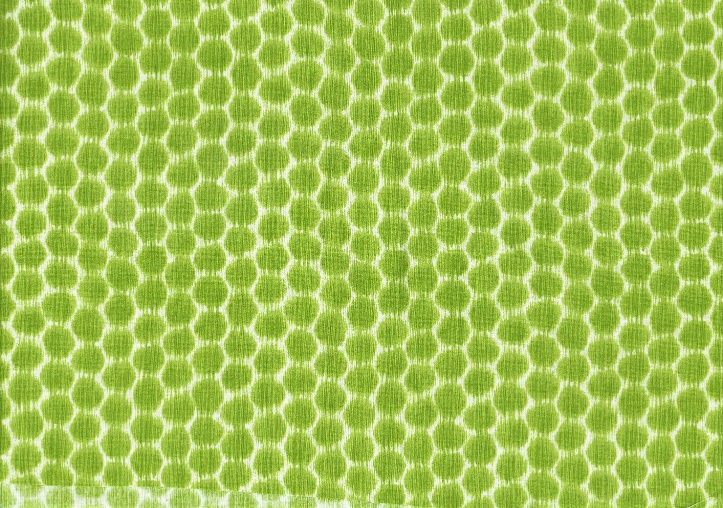 6 Yds Kravet Fabric Dotkat  Glade Cotton  Print Drapery Upholstery