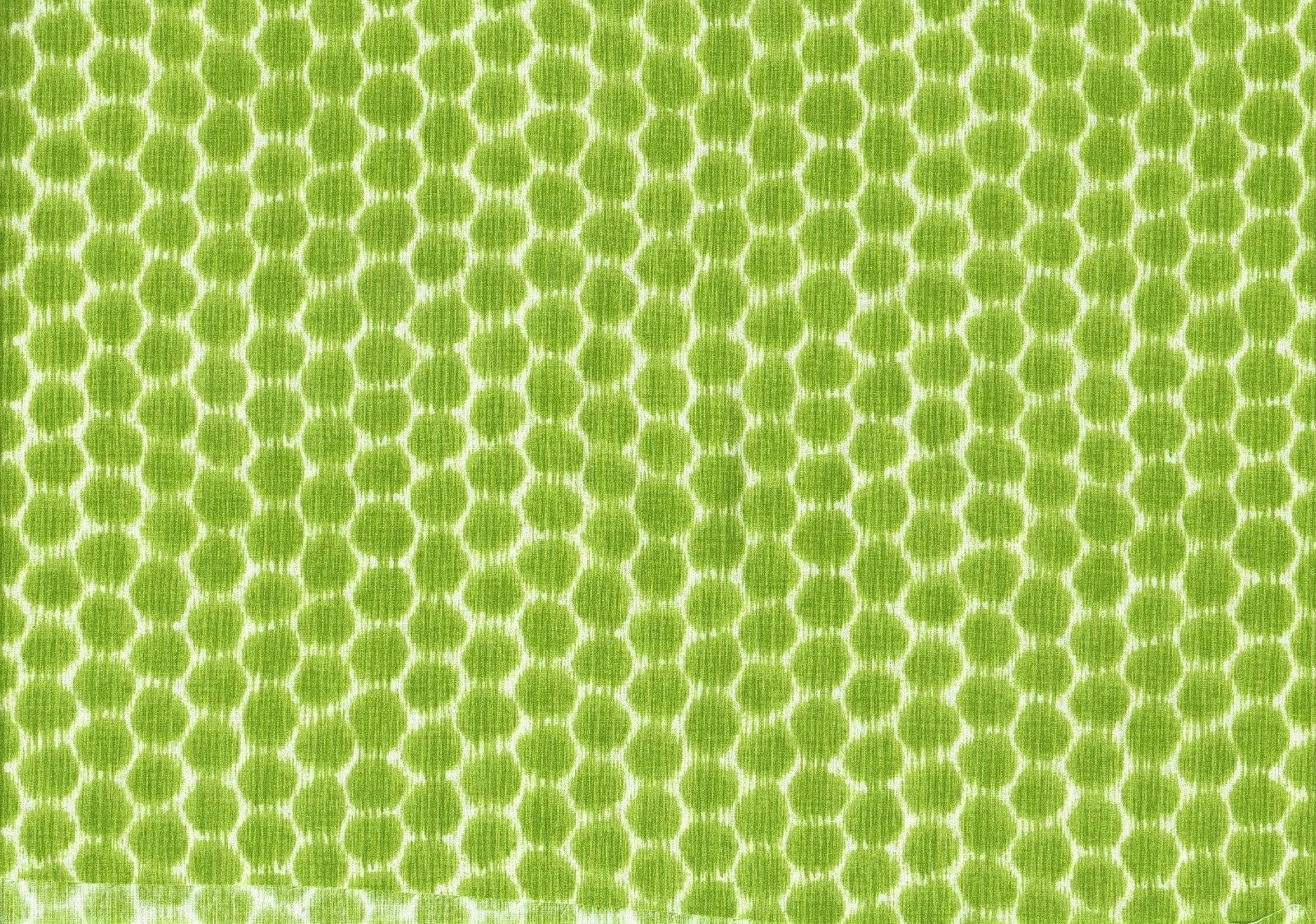 6 Yds Kravet Fabric Dotkat  Glade Cotton  Print Drapery Upholstery