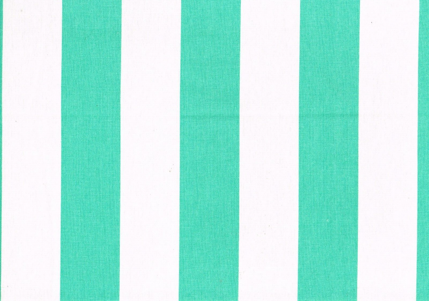 6 Yds Mill Creek Fabric  RW Finnigan Green White Indoor/Outdoor Upholstery