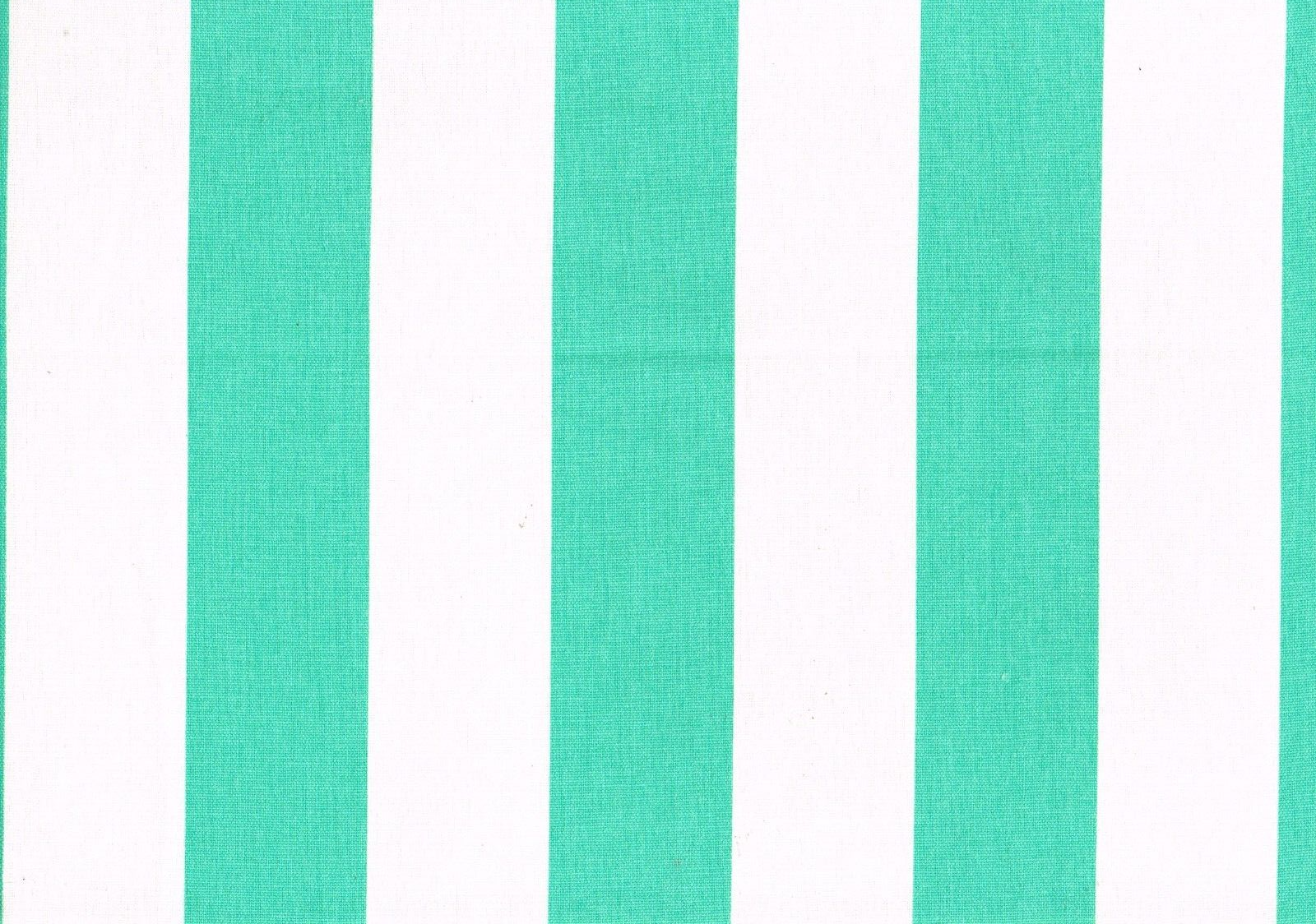 6 Yds Mill Creek Fabric  RW Finnigan Green White Indoor/Outdoor Upholstery