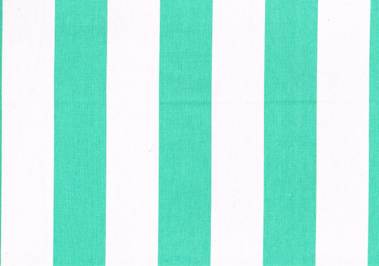 6 Yds Mill Creek Fabric  RW Finnigan Green White Indoor/Outdoor Upholstery