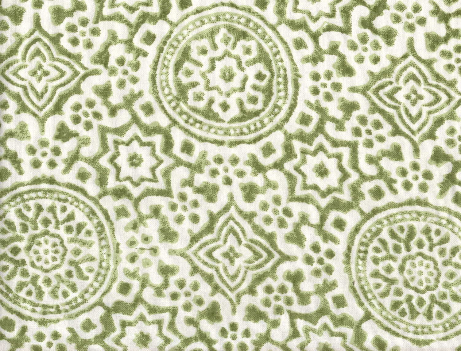 Stout Nipomo 1 Fern   Cotton  Drapery Upholstery
