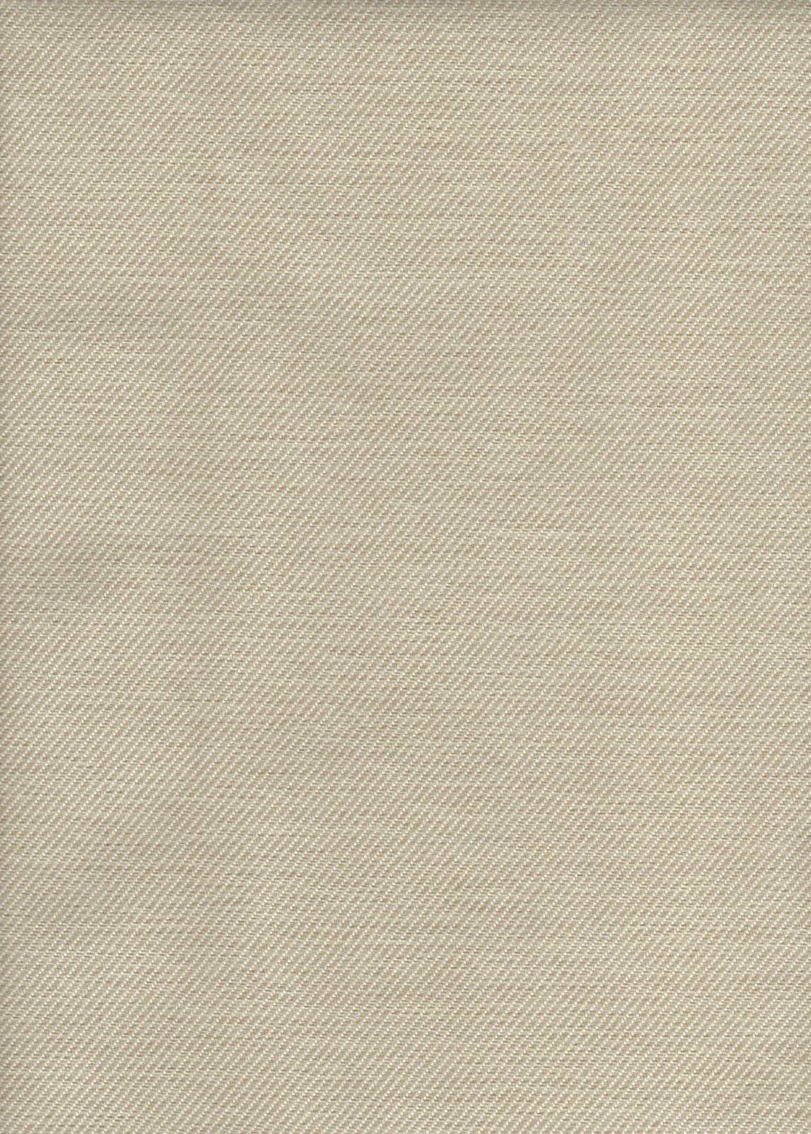 Leslie G Tanner Chalk  Polyster Beige  Upholstery