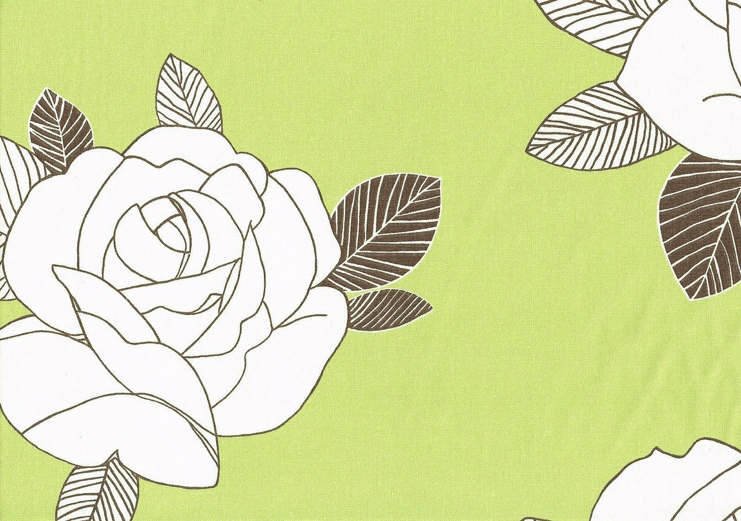 Kingsway Fabric Vanity Lime Chocolate Cotton Drapery Upholstery  
