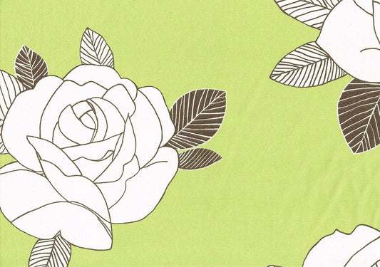 Kingsway Fabric Vanity Lime Chocolate Cotton Drapery Upholstery  