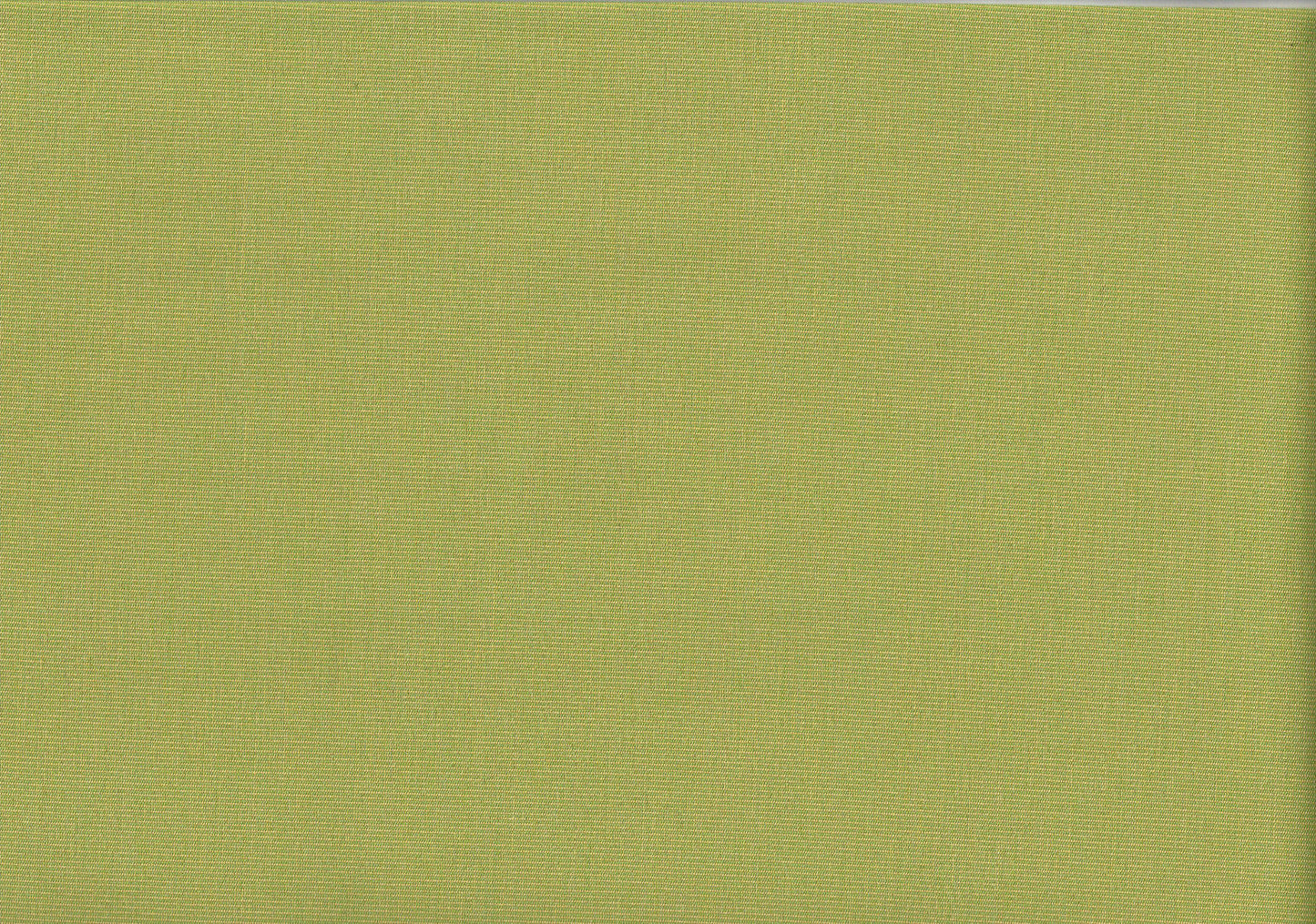 3 Yards Glen Raven Fabric Lime Solid Canvas Drapery Upholstery 