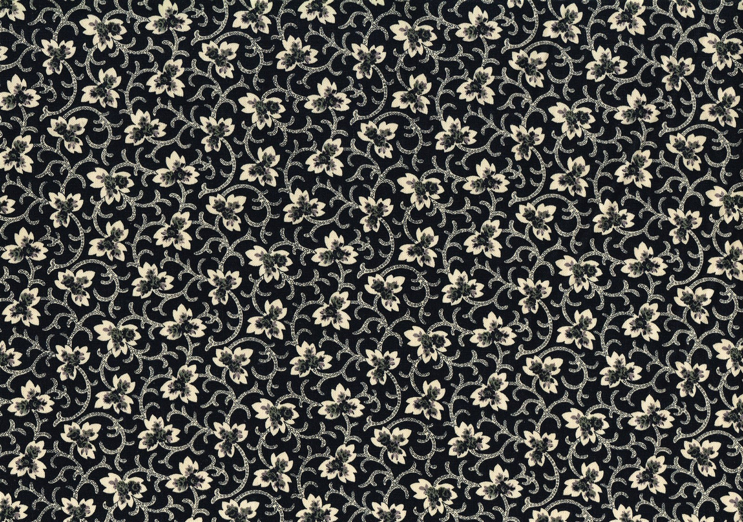 2.50 Yds Covington Fabric Caitlin Black Off White Cotton  Drapery Upholstery