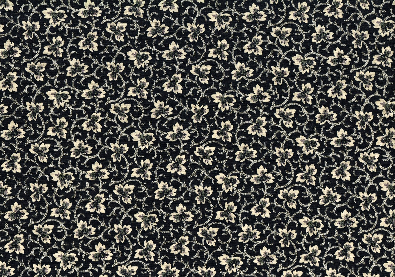 2.50 Yds Covington Fabric Caitlin Black Off White Cotton  Drapery Upholstery