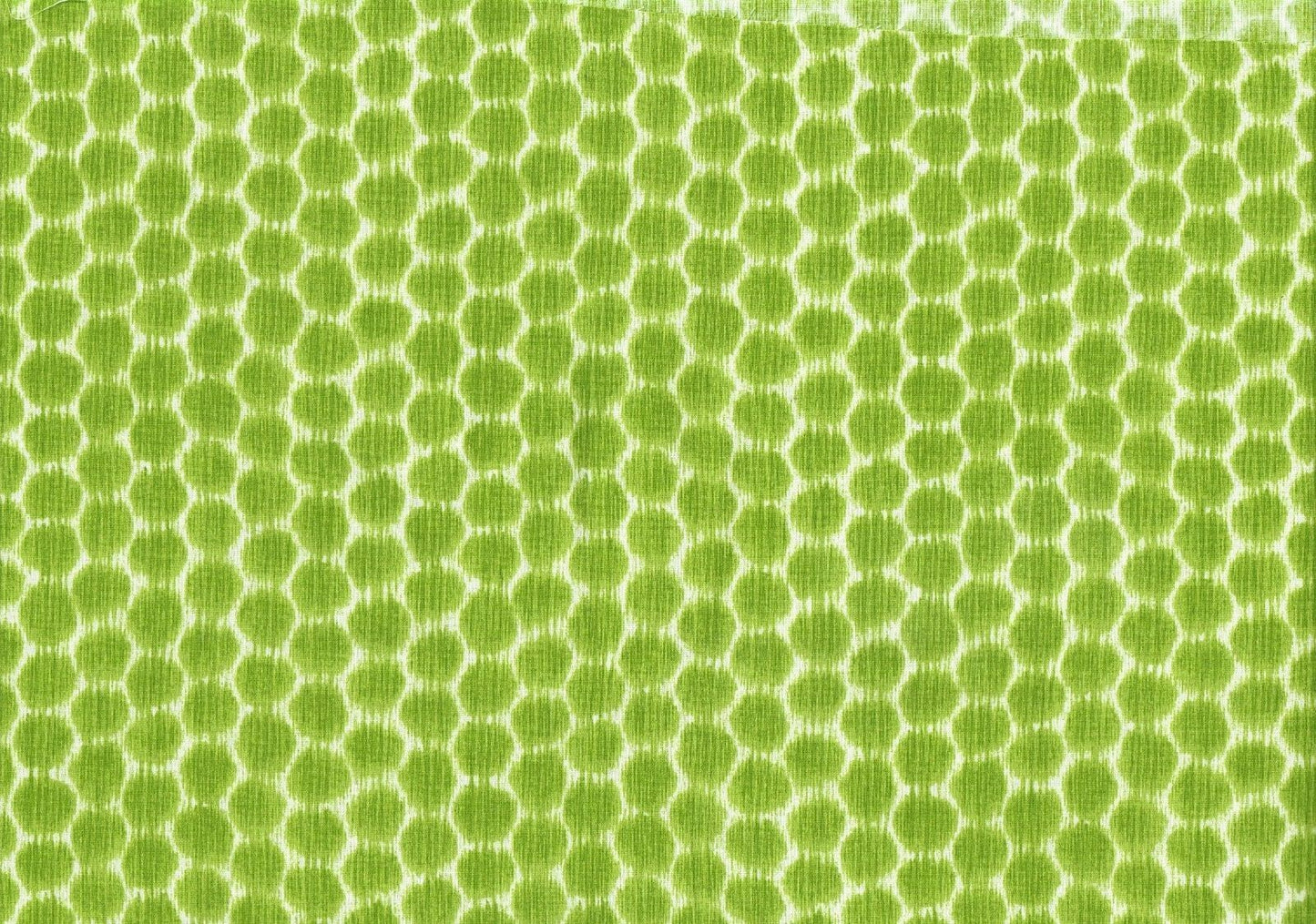 6 Yds Kravet Fabric Dotkat  Glade Cotton  Print Drapery Upholstery
