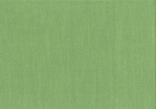 Diversitex  Fabrics Mitt Kiwi  Solid Drapery Upholstery