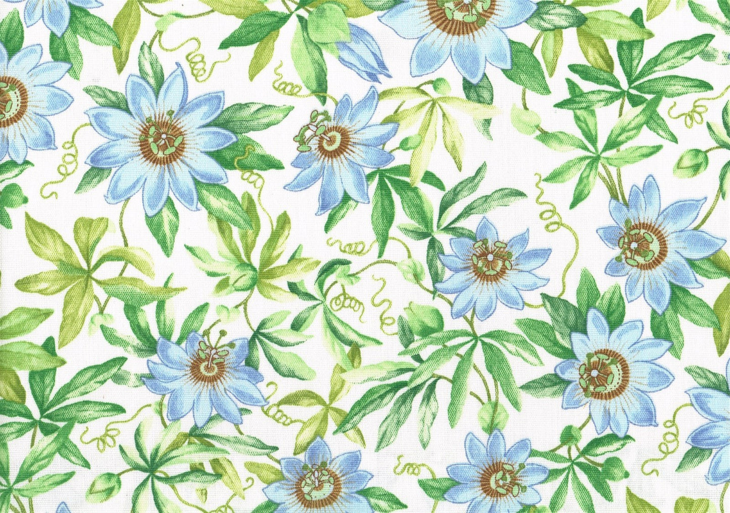 Robert Allen Fabric Passion Floral Pacific Outdoor Daisies  Drapery Upholstery 