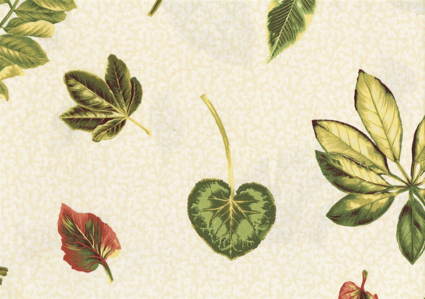 Concord Fabrics Keanu Beige Green Rust Gold Cotton  Drapery Upholstery 
