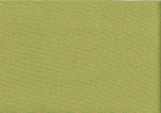 3 Yards Glen Raven Fabric Lime Solid Canvas Drapery Upholstery 