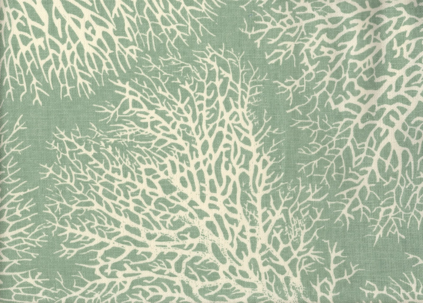 5 Yds Magnolia Fabric Ariel Cotton Drapery Upholstery