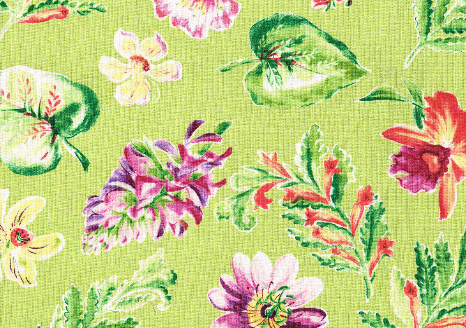 Mill Creek Fabric Raymond Waites Lime Pink Floral Drapery Upholstery