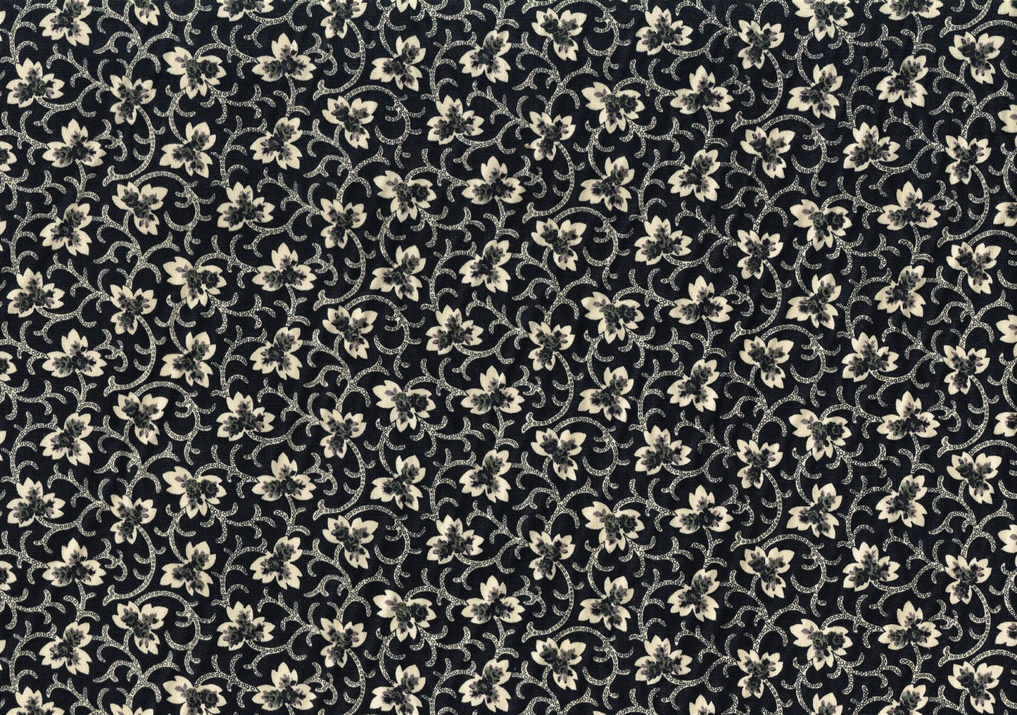 2.50 Yds Covington Fabric Caitlin Black Off White Cotton  Drapery Upholstery