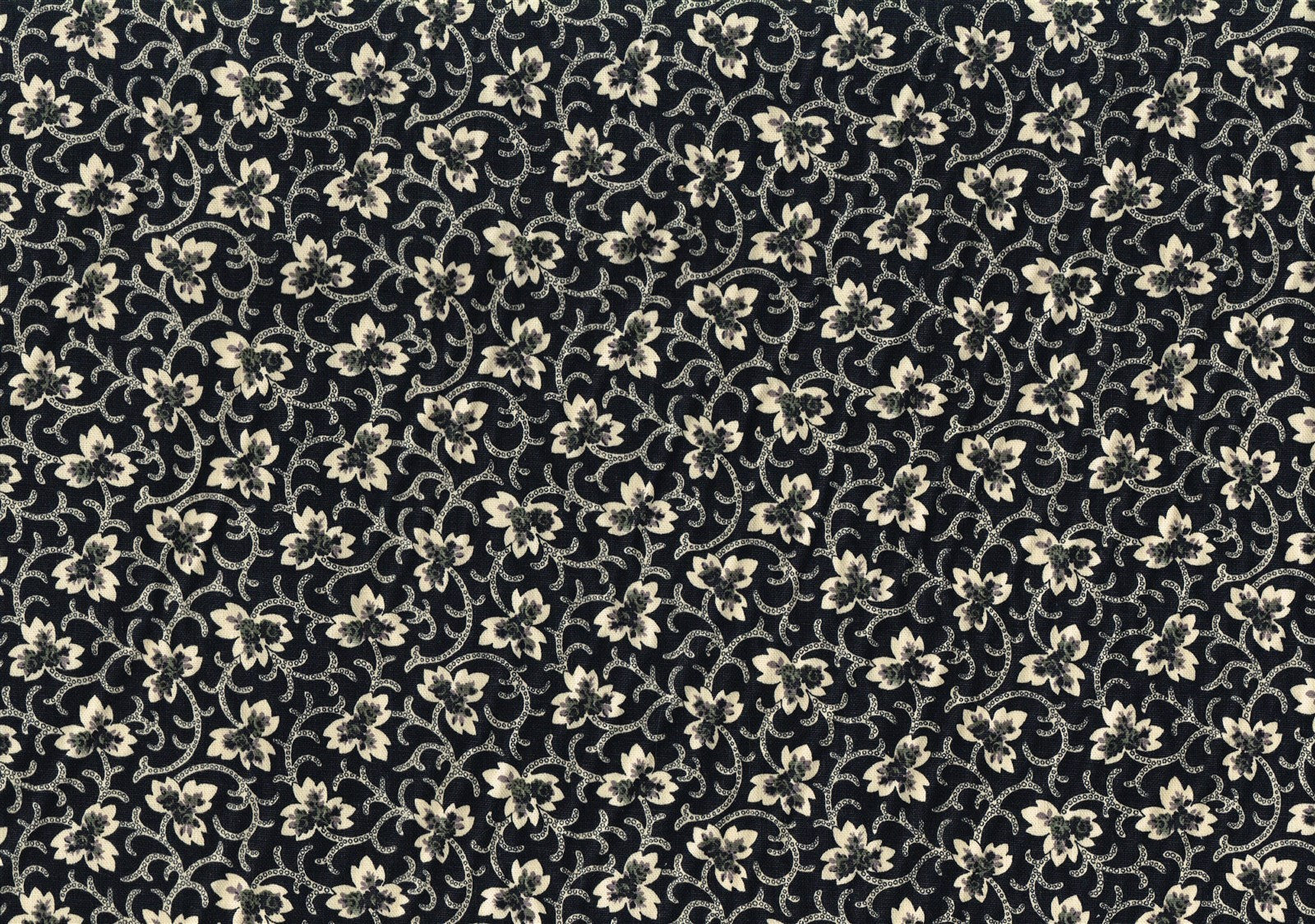 2.50 Yds Covington Fabric Caitlin Black Off White Cotton  Drapery Upholstery