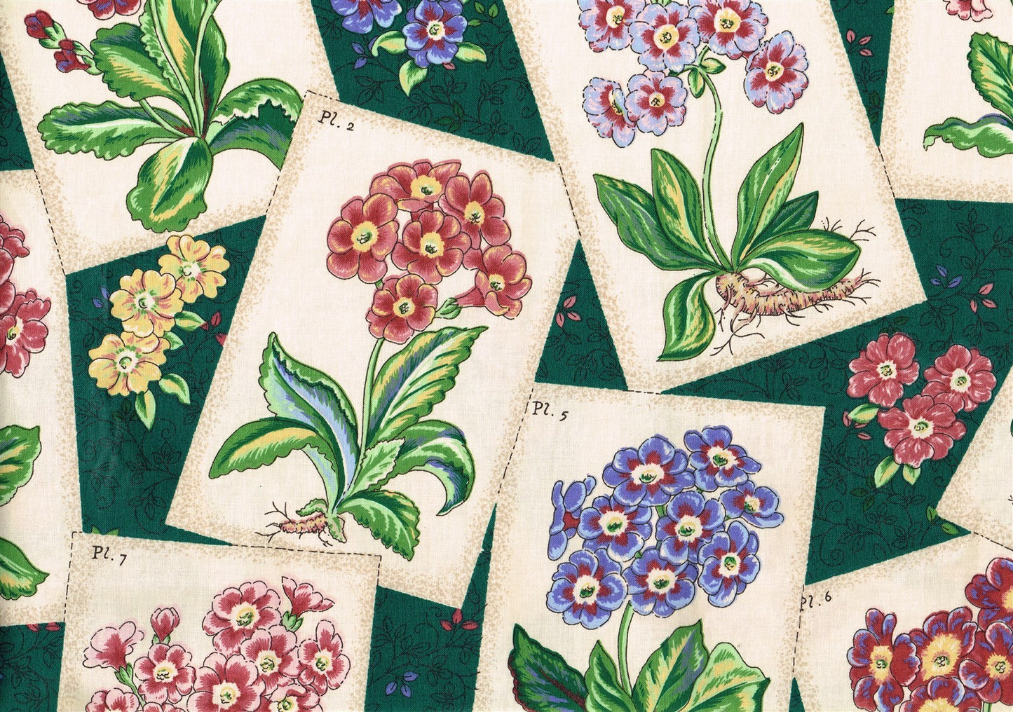 Waverly Fabric Pin Ups Green Beige Rose Blue  Cotton  Drapery  Upholstery 
