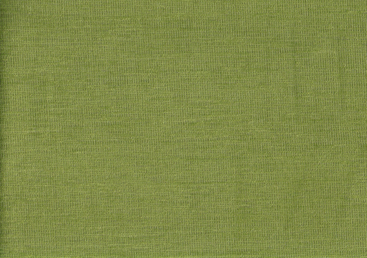 Sunbrella Fabric Palio Kiwi  Solution Dyed Acrylic Drapery Upholstery
