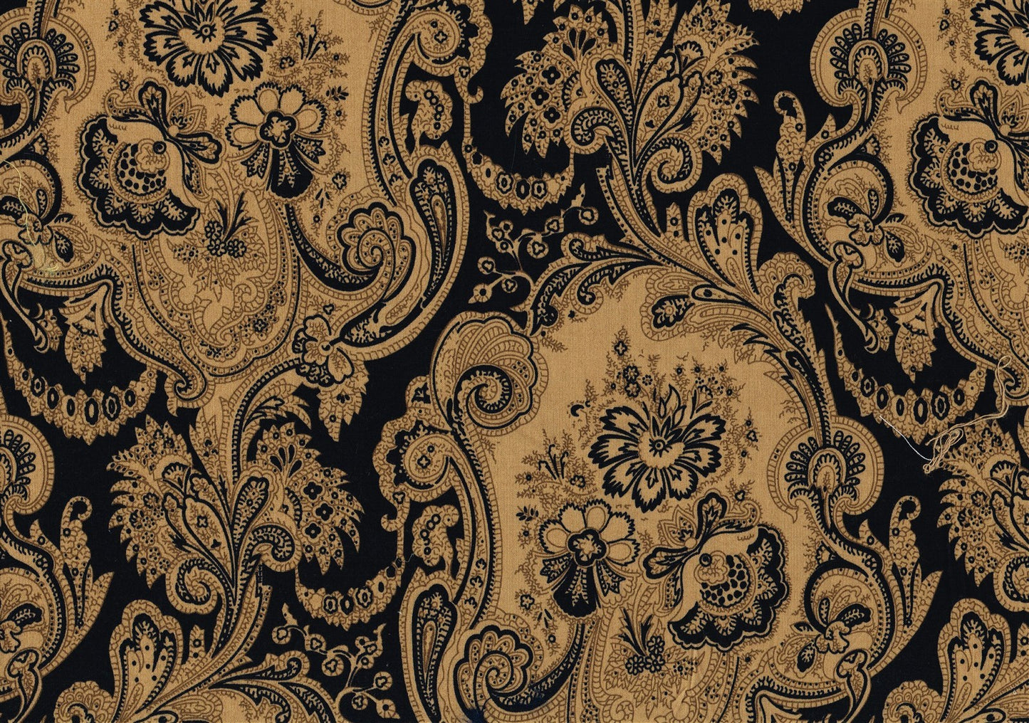 Kravet Fabric Connery Khaki Black Print  Cotton Drapery Upholstery 