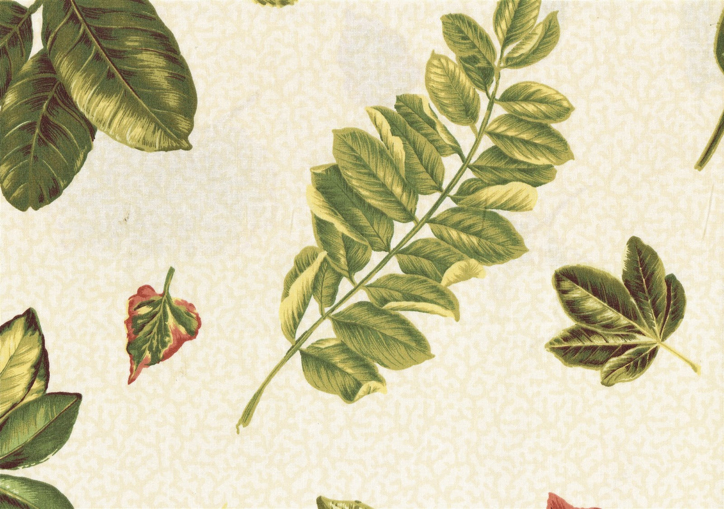 Concord Fabrics Keanu Beige Green Rust Gold Cotton  Drapery Upholstery 