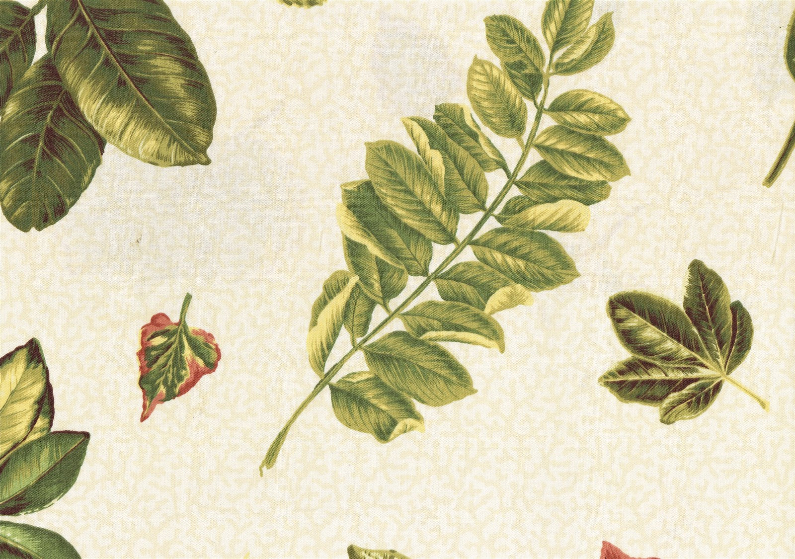Concord Fabrics Keanu Beige Green Rust Gold Cotton  Drapery Upholstery 