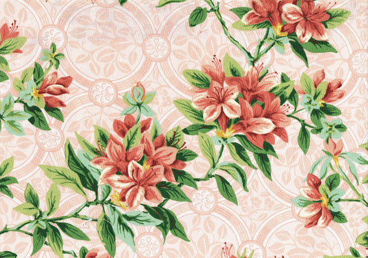 Duralee Fabric Sag Harbor Branch Cotton Floral   Drapery Upholstery