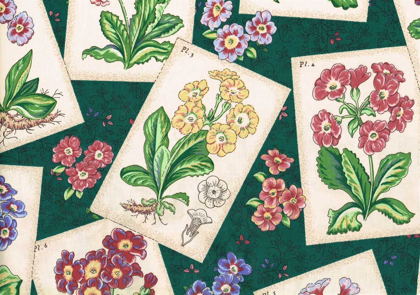 Waverly Fabric Pin Ups Green Beige Rose Blue  Cotton  Drapery  Upholstery 