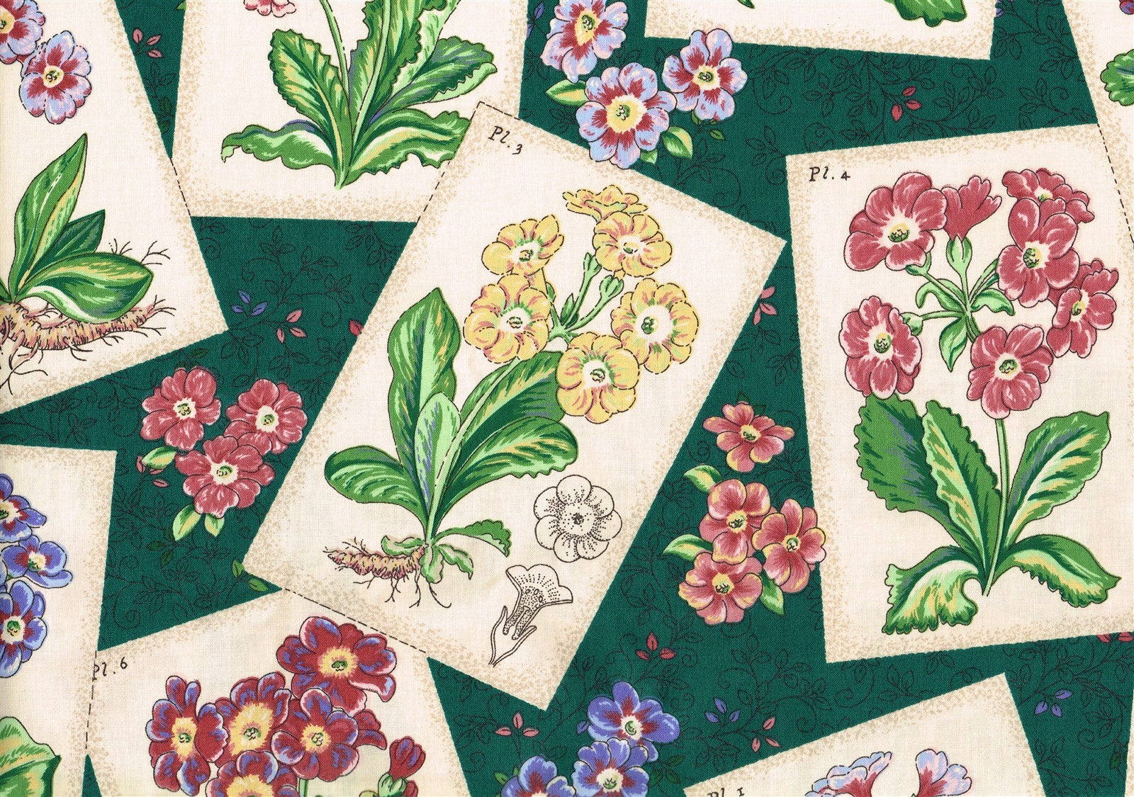 Waverly Fabric Pin Ups Green Beige Rose Blue  Cotton  Drapery  Upholstery 
