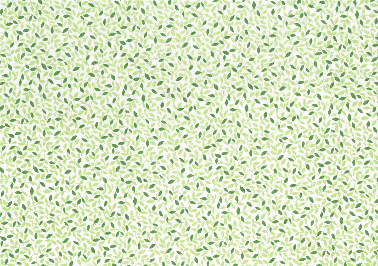 Travers Co Banbury White Green Leaves Cotton  Drapery Upholstery 