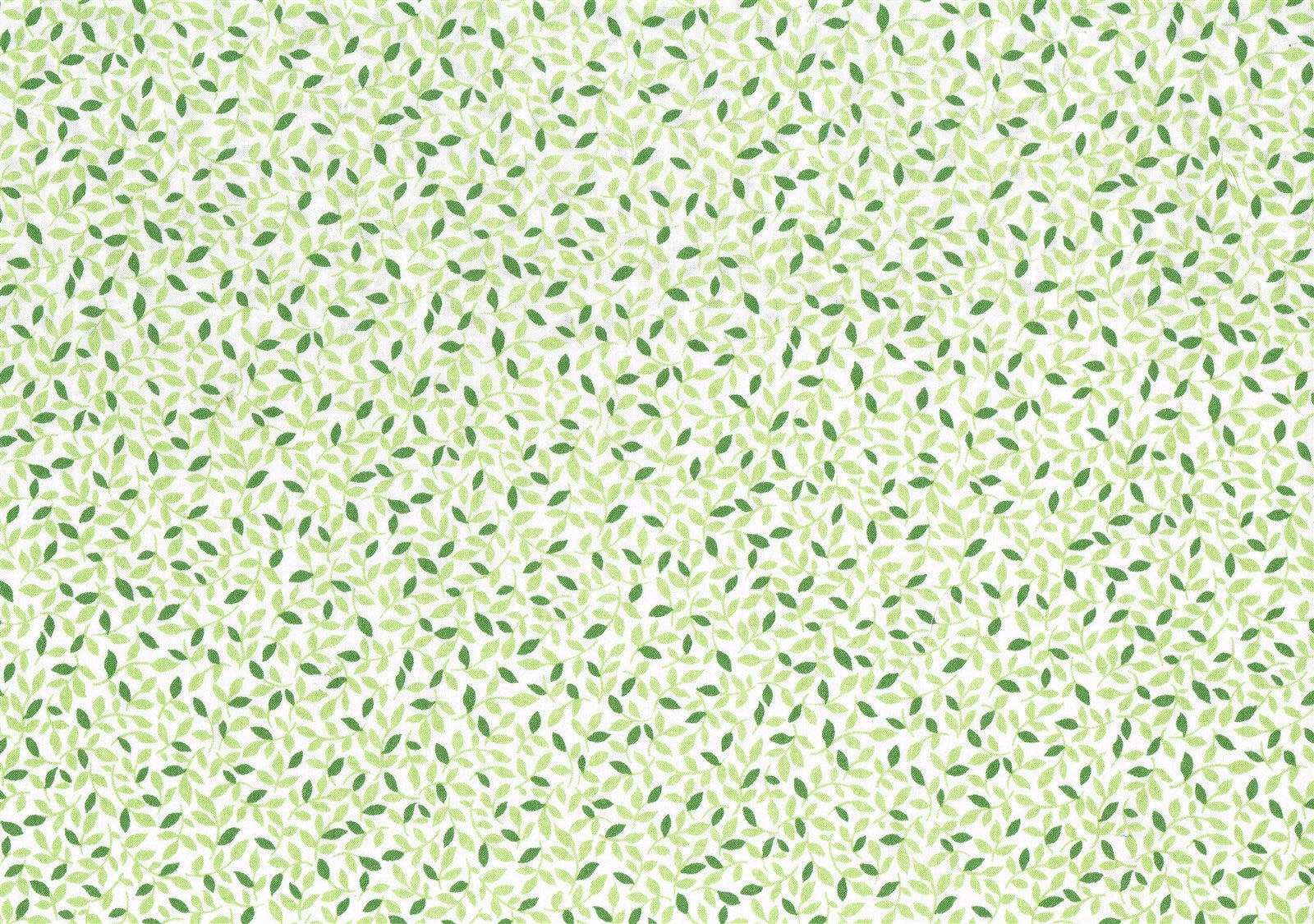 Travers Co Banbury White Green Leaves Cotton  Drapery Upholstery 
