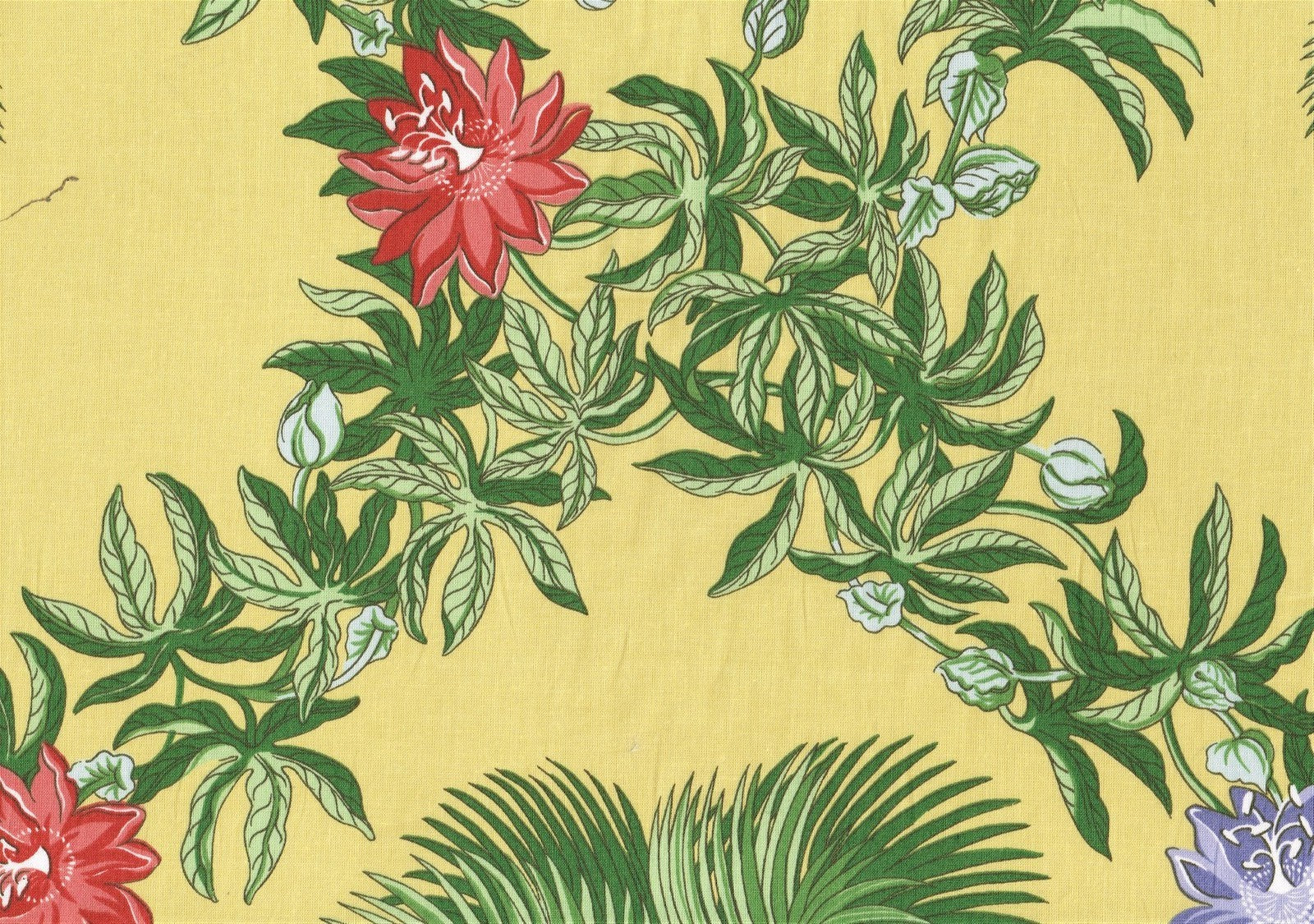 Altizer Fabrics Caribbean Yellow Green Lavender Rose  Cotton Drapery Upholstery 