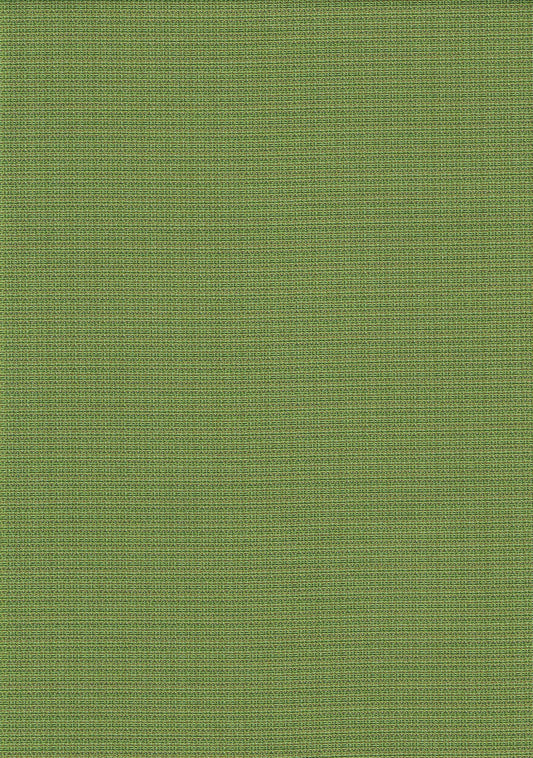 Sunbrella Fabric Malabar Kiwi Green Woven Indoor/Outdoor Drapery Upholstery